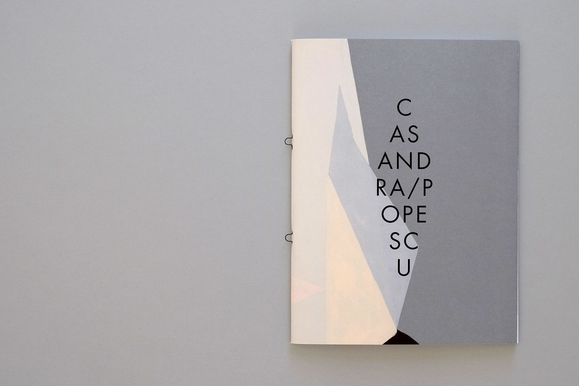 Foto des Covers eines Künstlerbuches für Casandra Popescu mit rautenförmig angeordneter Typografie.